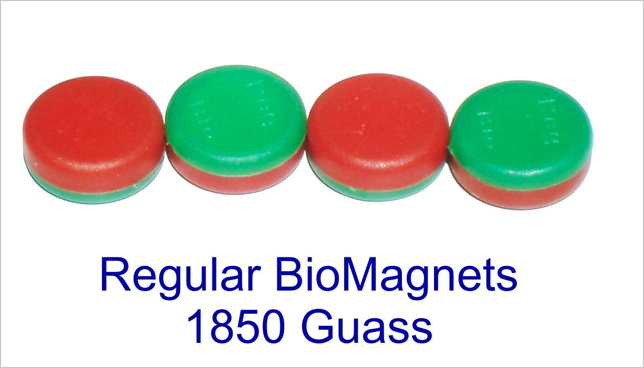 Regular BioMagnet (1850 Gauss) (1 Magnet)