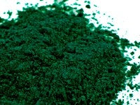 Dr. Bob's Organic Chlorella Powder 250g